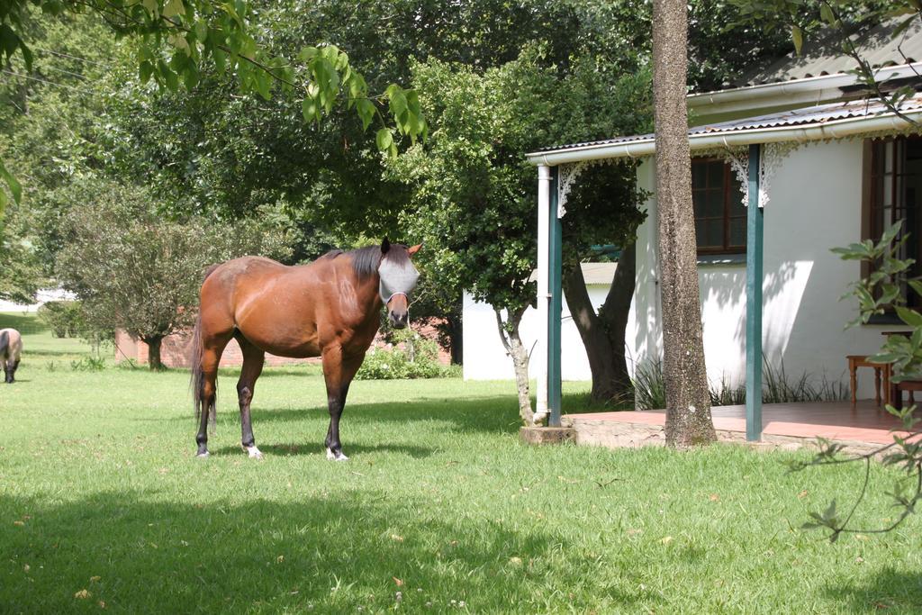 Caladdi Bed And Breakfast Durban Exterior foto