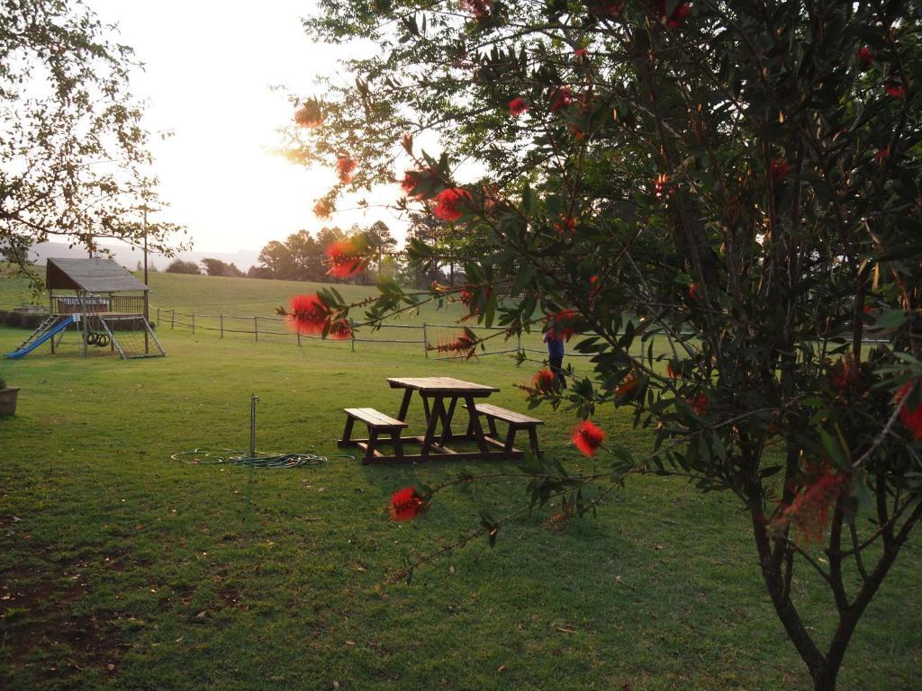 Caladdi Bed And Breakfast Durban Exterior foto